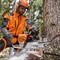 Бензопила MS 462 45 см Stihl НОВИНКА!!! - фото 7171 Бензопила MS 462 45 см Stihl НОВИНКА!!! - фото 7171